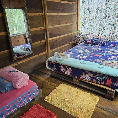 Eco Hostel Organic Life 트린다데 외부 사진