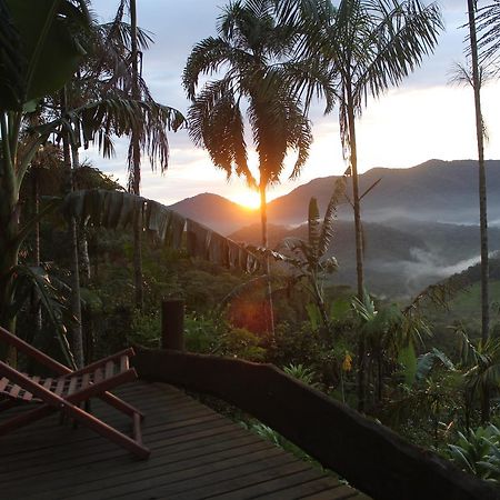 Eco Hostel Organic Life 트린다데 외부 사진