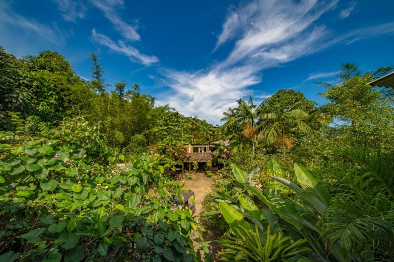 Eco Hostel Organic Life 트린다데 외부 사진