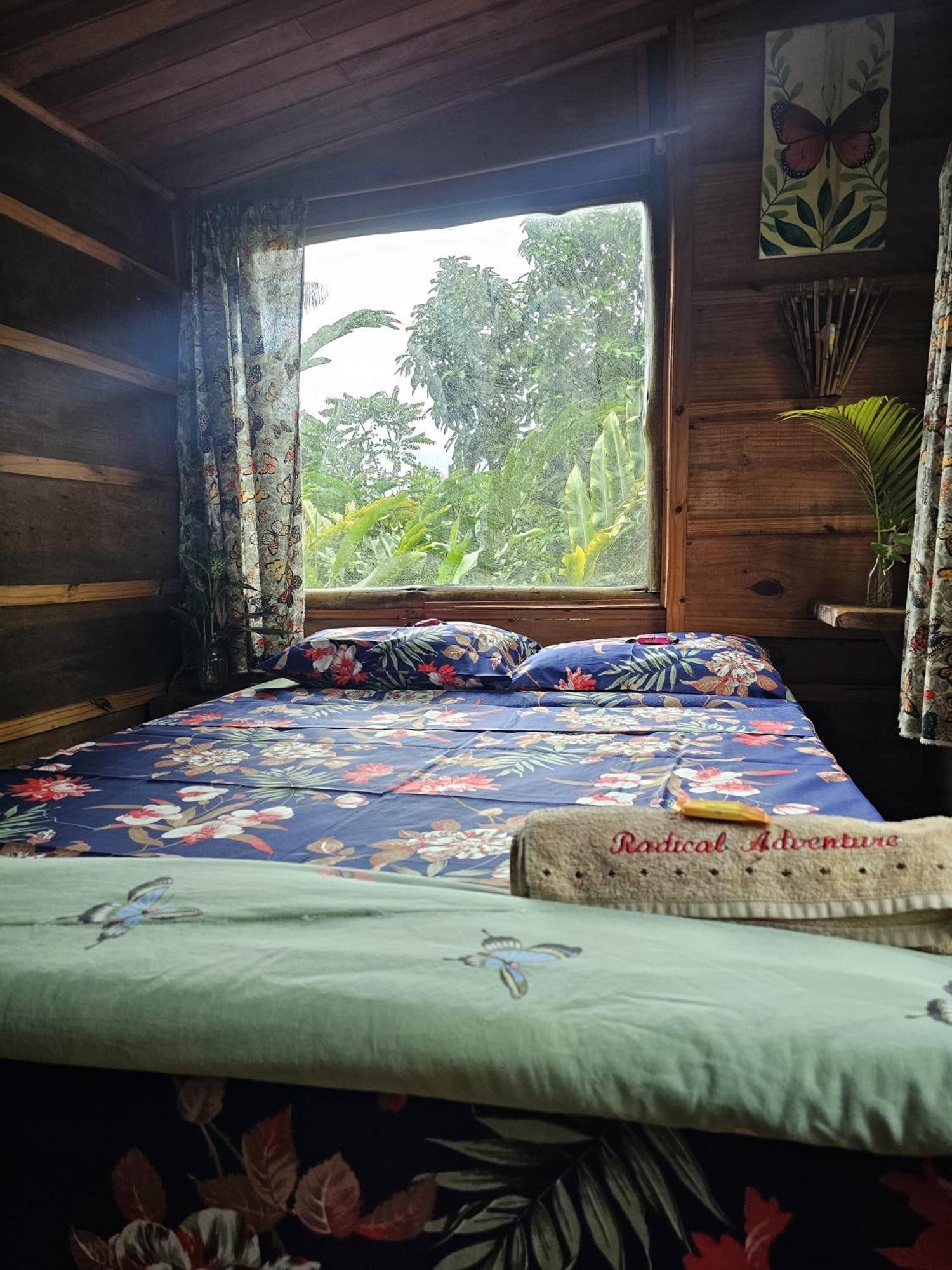 Eco Hostel Organic Life 트린다데 외부 사진