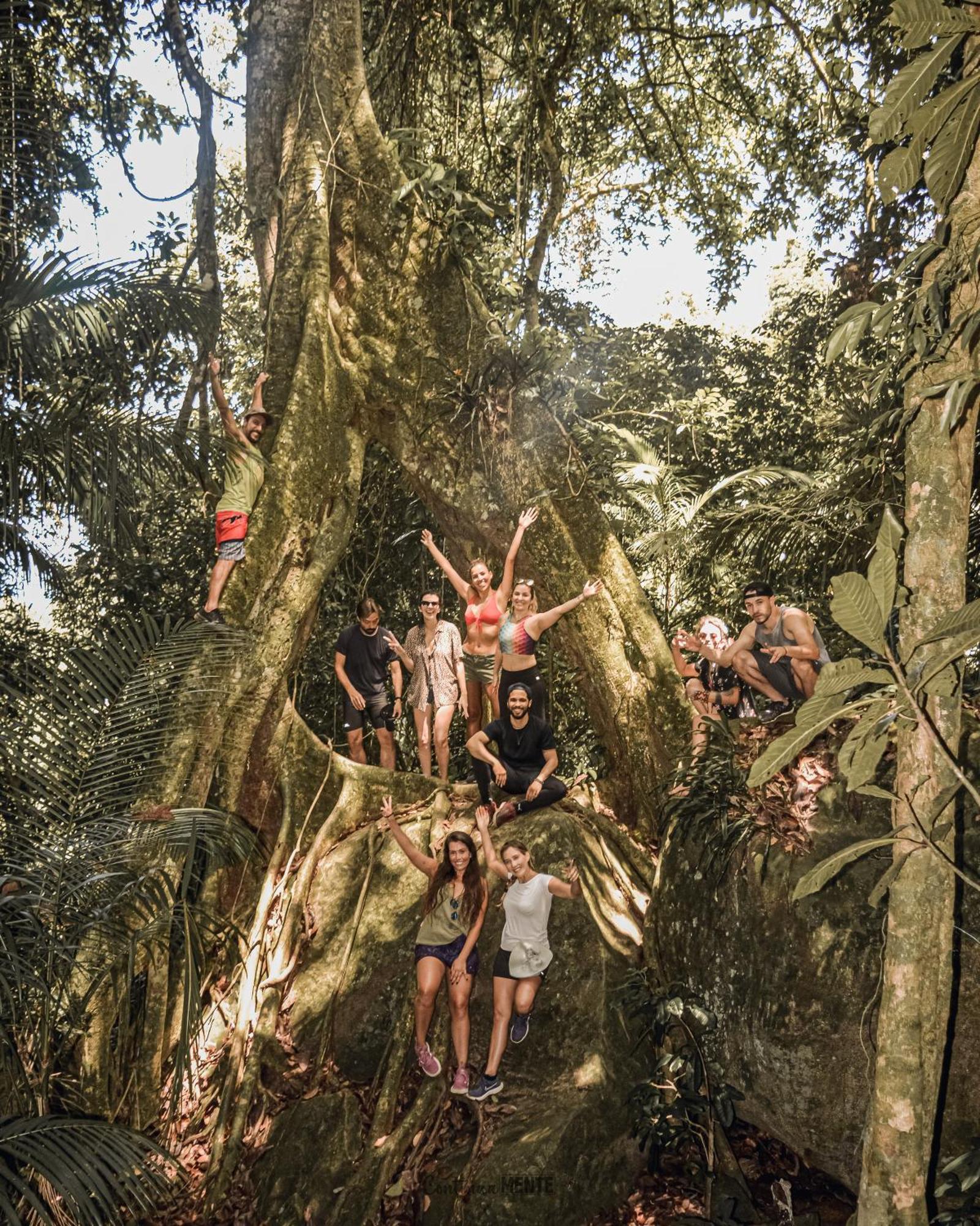 Eco Hostel Organic Life 트린다데 외부 사진