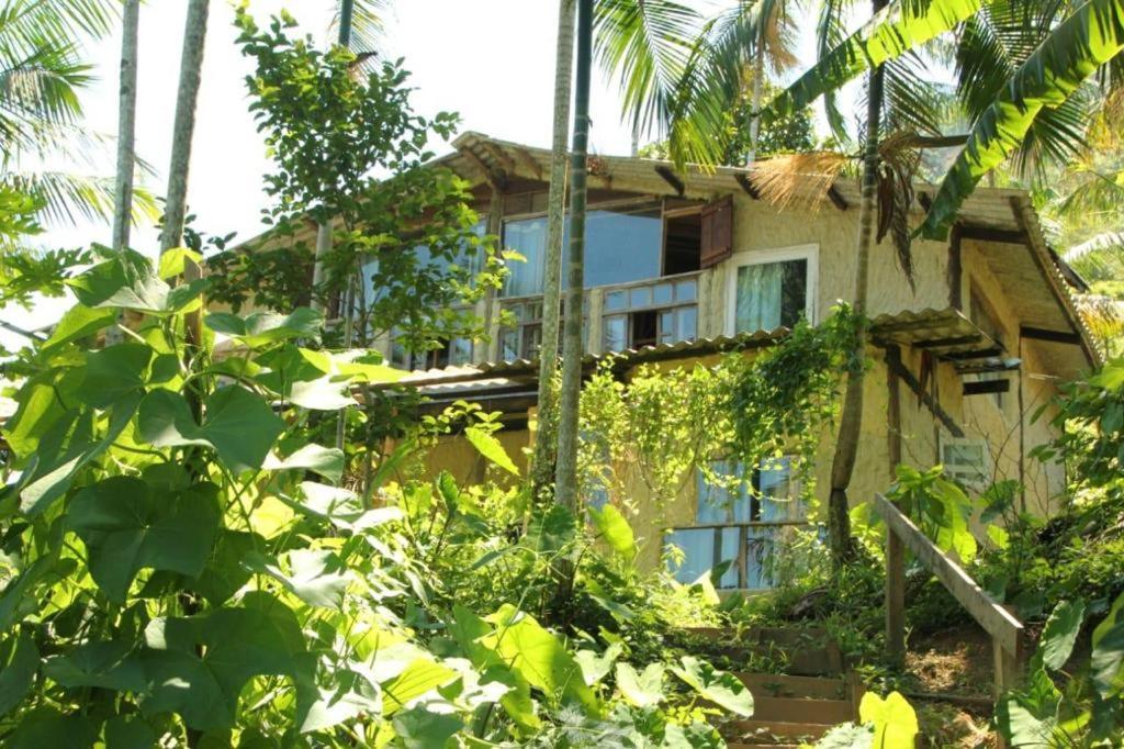 Eco Hostel Organic Life 트린다데 외부 사진